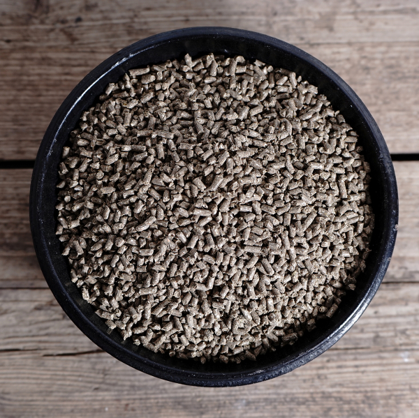 Bewegungskraft Beweglichkeit Pellets